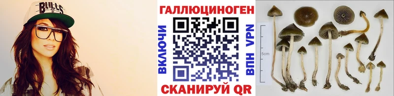 Купить где  Белорецк  Псилоцибиновые грибы Magic Shrooms 